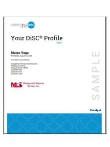 DiSC Workplace Catalyst Report 
